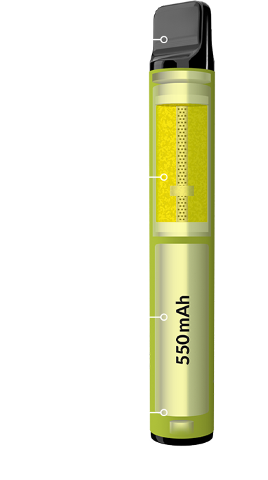 Elbar 600 Technischer Aufbau Einweg E-Zigarette Vape